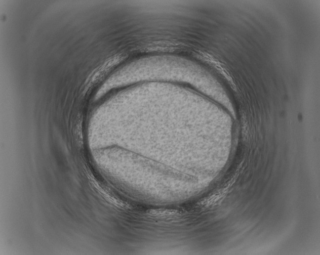 X0000067460633200605051622