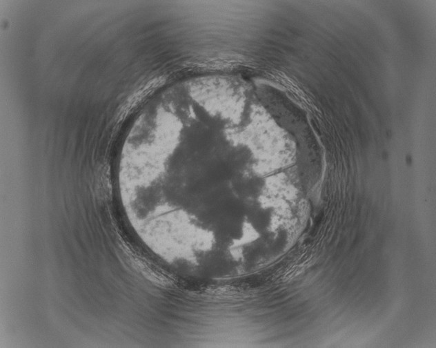 X0000067460634200605051622