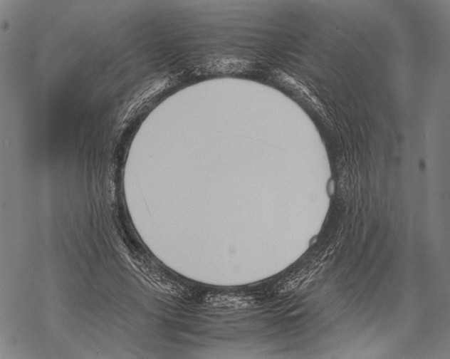 X0000067460635200605051623