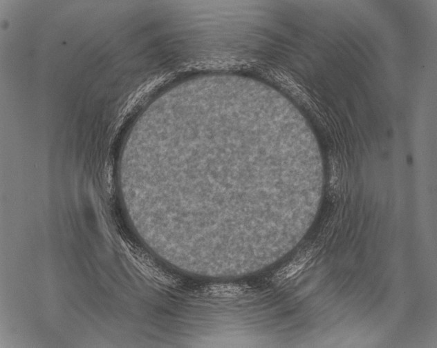 X0000067460636200605051623