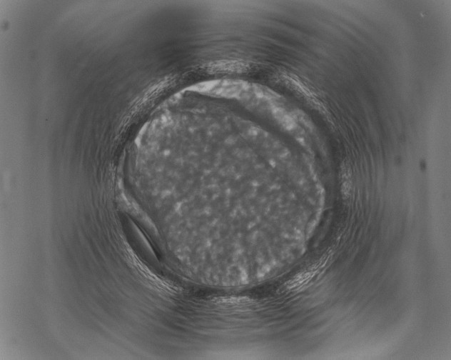 X0000067460637200605051623