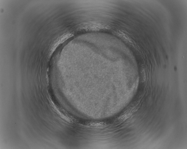 X0000067460638200605051623