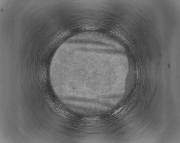 X0000067460639200605051623