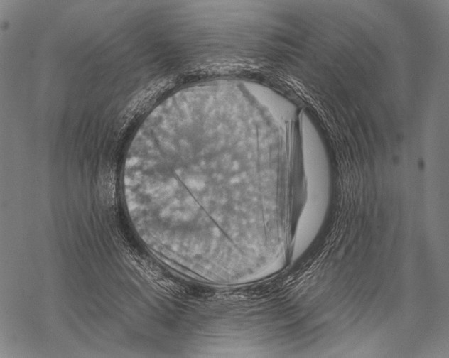 X0000067460640200605051623