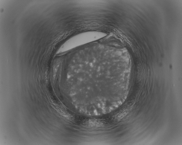 X0000067460641200605051623