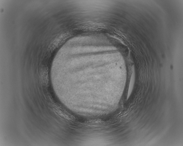 X0000067460642200605051623