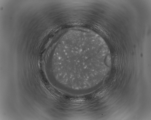 X0000067460643200605051623