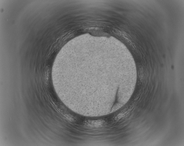 X0000067460645200605051623