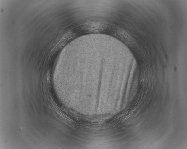 X0000067460646200605051623