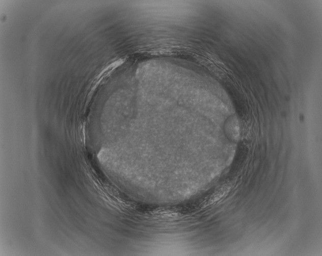 X0000067460648200605051623