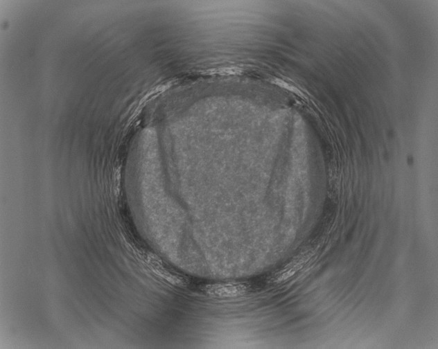 X0000067460652200605051623