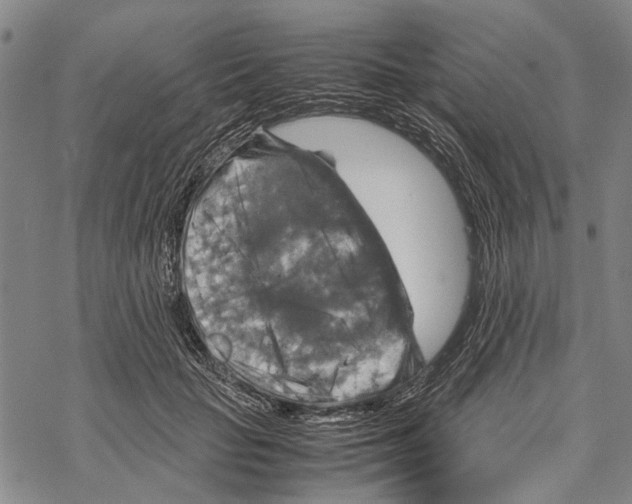 X0000067460653200605051623