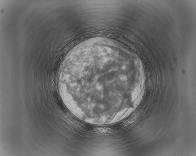 X0000067460654200605051623