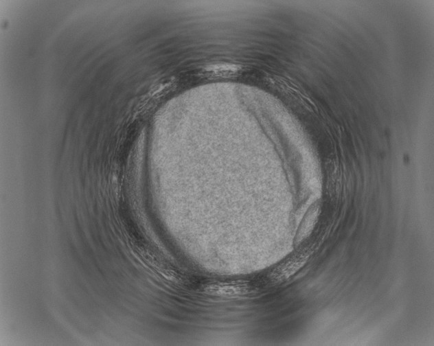 X0000067460655200605051623