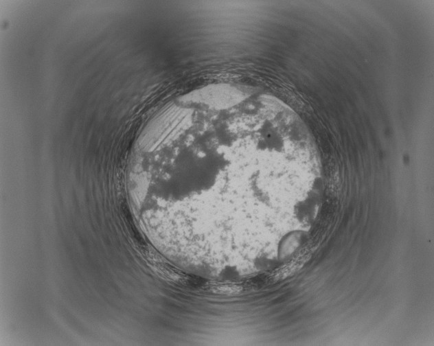 X0000067460658200605051623