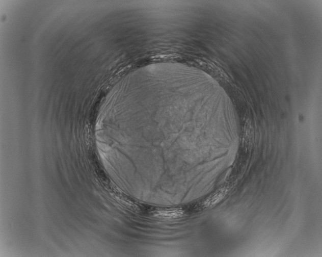 X0000067460659200605051623