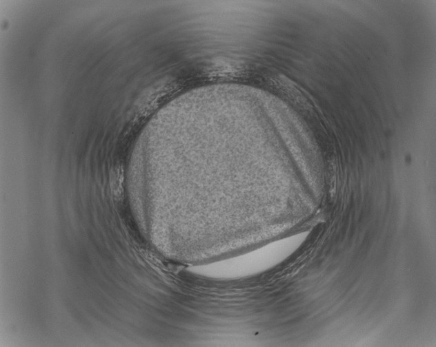 X0000067460660200605051623