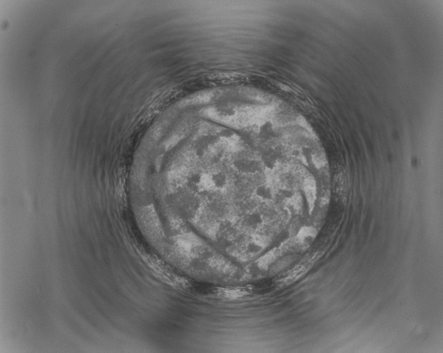 X0000067460662200605051623