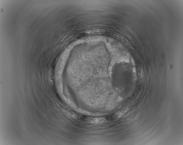 X0000067460663200605051623