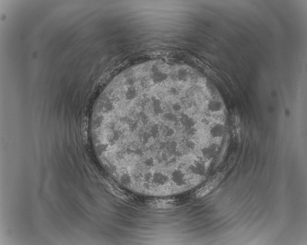 X0000067460664200605051623