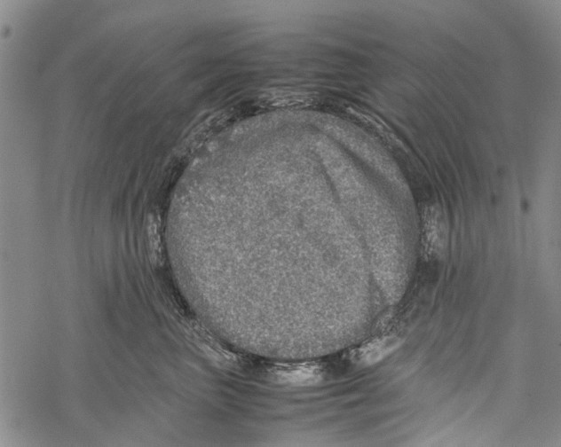 X0000067460667200605051623