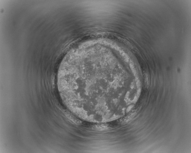 X0000067460668200605051623