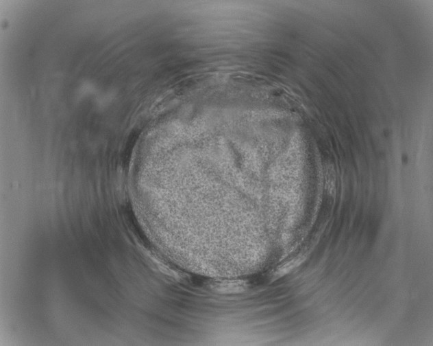 X0000067460670200605051623