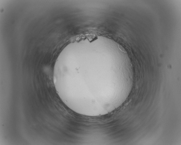 X0000067460672200605051623