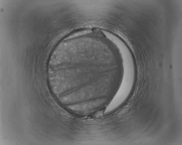 X0000067460673200605051622