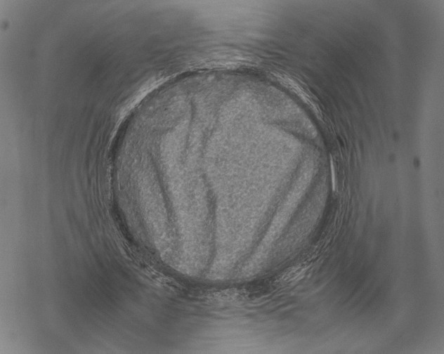 X0000067460675200605051622