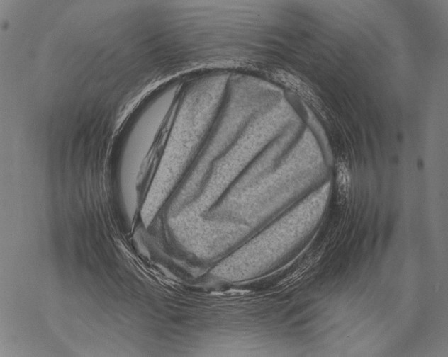 X0000067460676200605051622