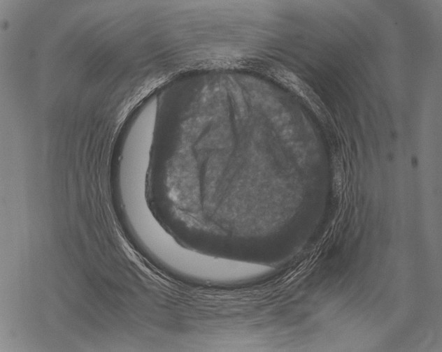 X0000067460677200605051622