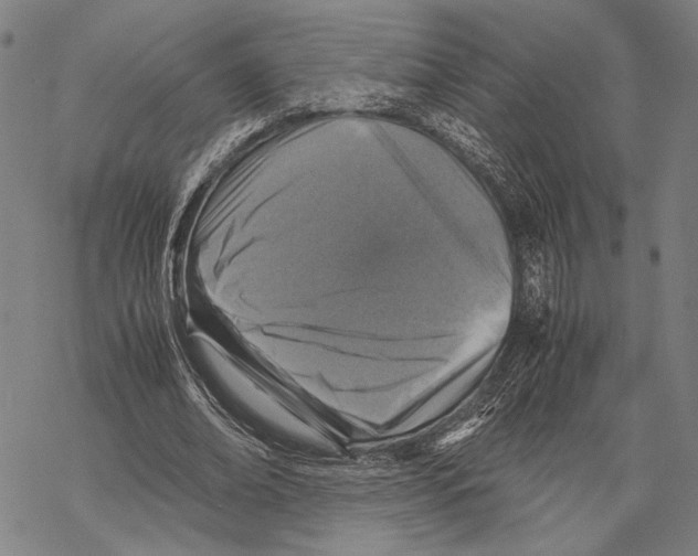 X0000067460678200605051622