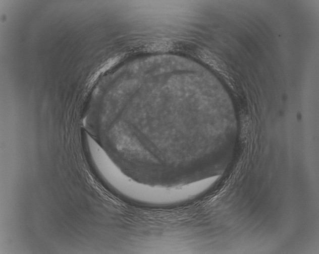 X0000067460681200605051622