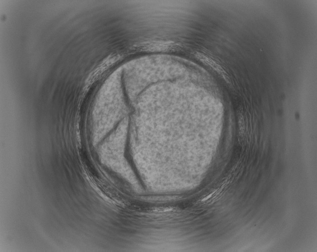 X0000067460682200605051622