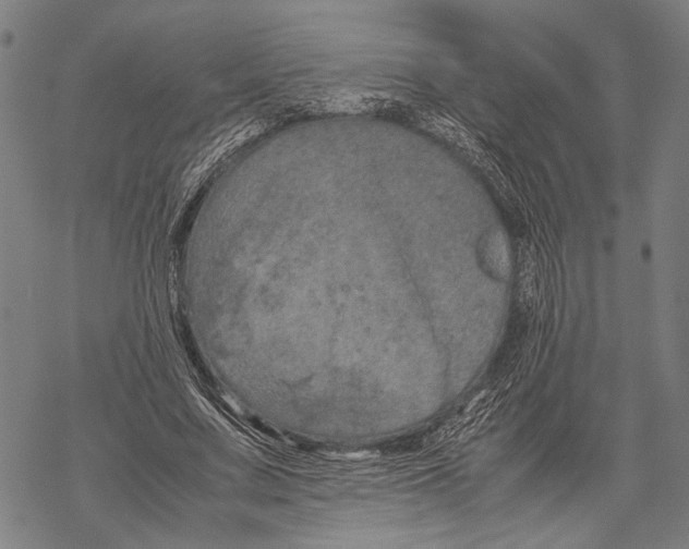 X0000067460683200605051622