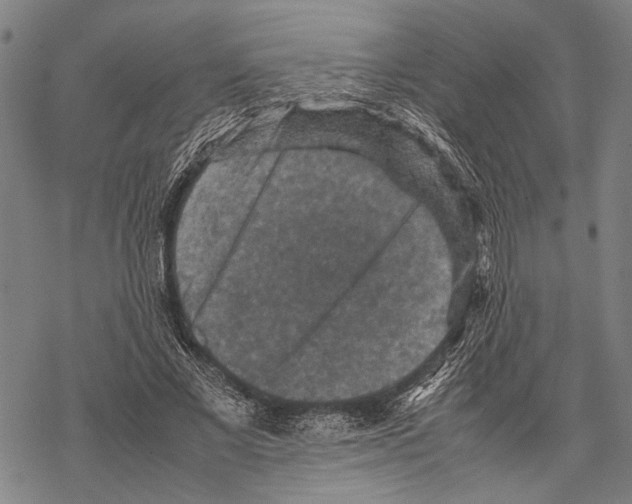 X0000067460685200605051622