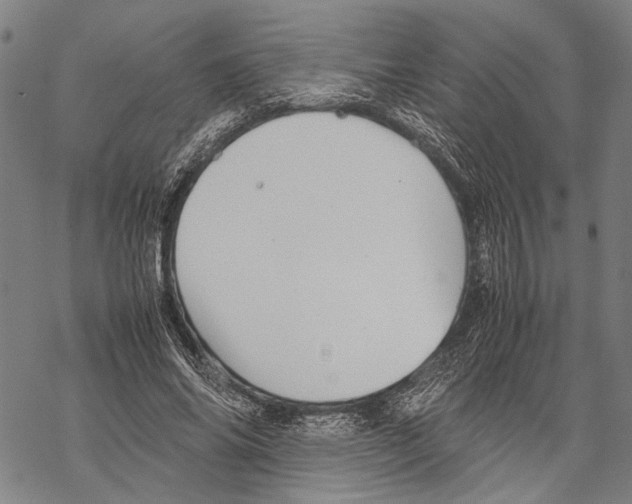 X0000067460686200605051622