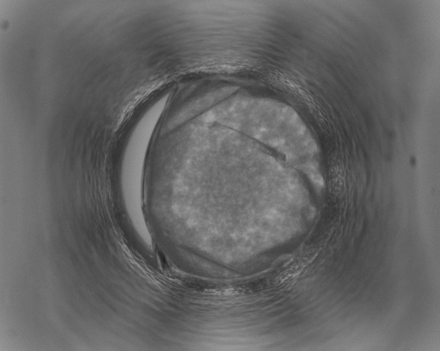 X0000067460688200605051622