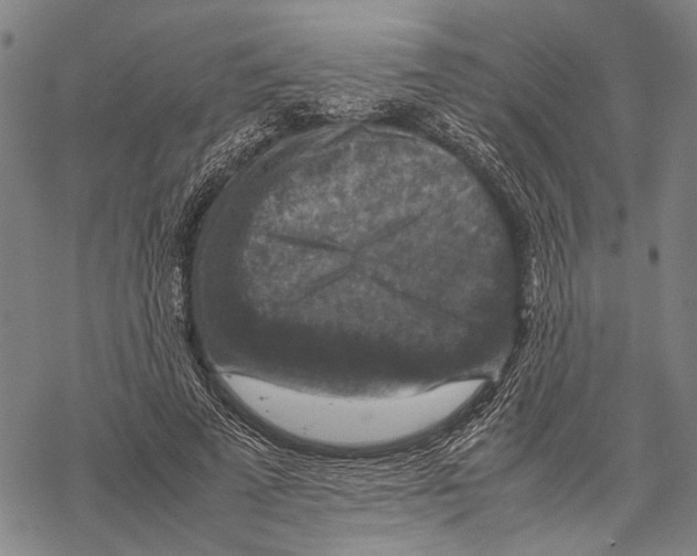 X0000067460689200605051622