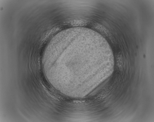 X0000067460690200605051622