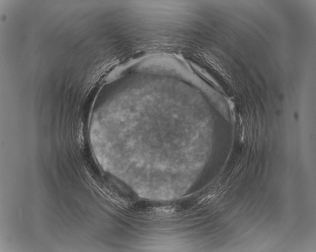 X0000067460692200605051622