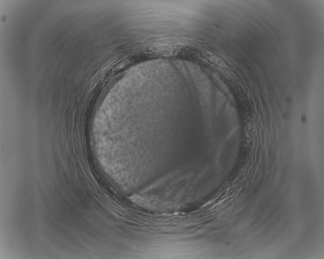 X0000067460693200605051622