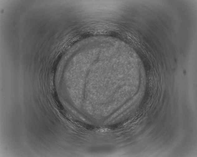 X0000067460695200605051622