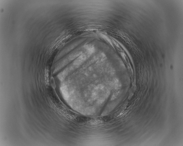 X0000067460696200605051622