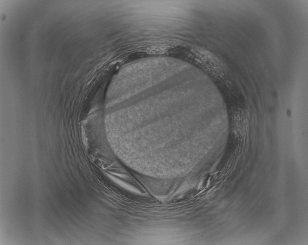 X0000067460697200605051622