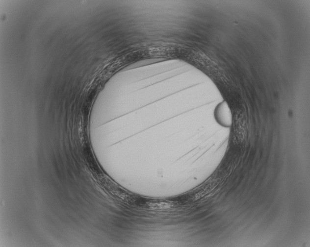 X0000067460698200605051622