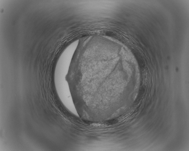 X0000067460699200605051622