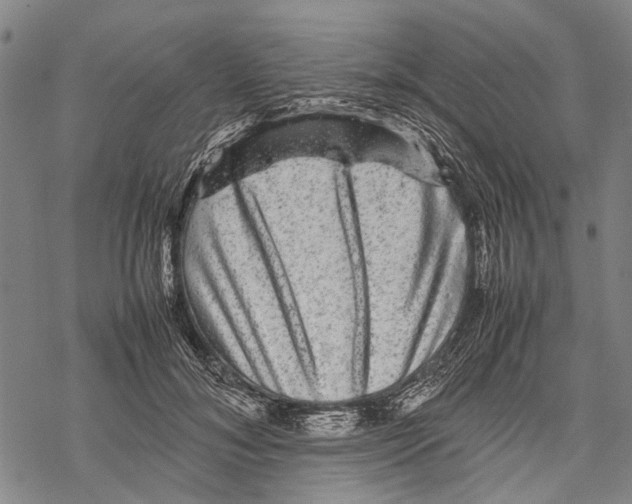 X0000067460700200605051622