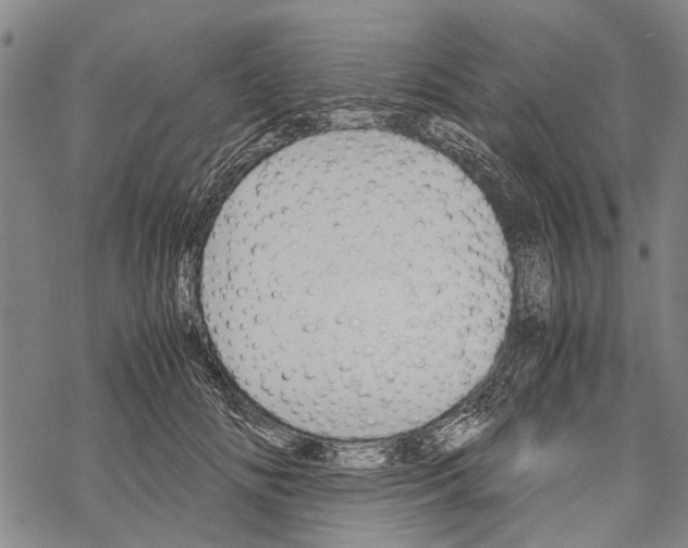 X0000067460702200605051622